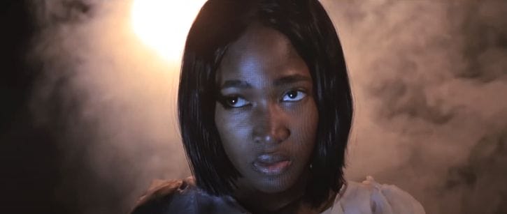 Trailer for 'The Seagull'